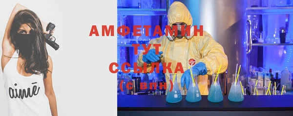 ГАЛЛЮЦИНОГЕННЫЕ ГРИБЫ Богданович