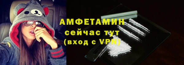 ГАЛЛЮЦИНОГЕННЫЕ ГРИБЫ Богданович