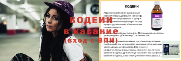 ГАЛЛЮЦИНОГЕННЫЕ ГРИБЫ Богданович