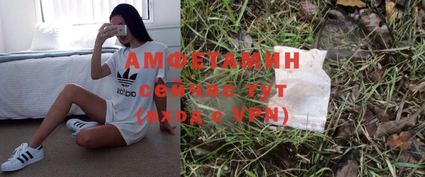 ГАЛЛЮЦИНОГЕННЫЕ ГРИБЫ Богданович