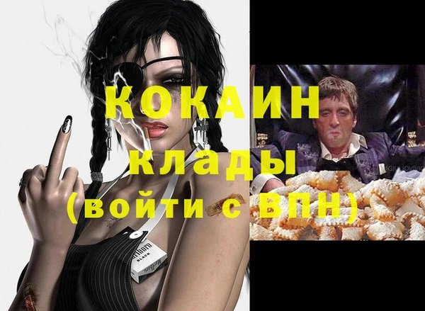 ГАЛЛЮЦИНОГЕННЫЕ ГРИБЫ Богданович