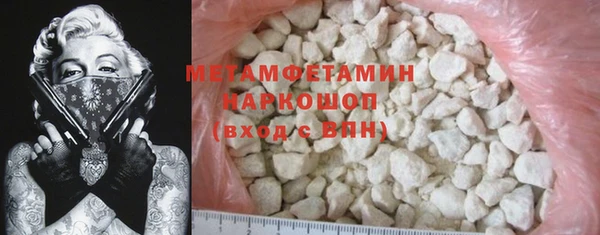 ГАЛЛЮЦИНОГЕННЫЕ ГРИБЫ Богданович